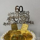 포시즌 동물병원 | 2025년 5월 일상