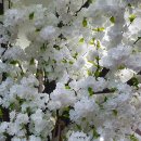 팔공산로 이미지