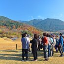 숨겨진 역사, 가야 이미지