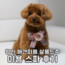 살롱드 오픈주 | 청라 애견미용 살롱드주 피어프리 케어 하이드로바스 스파 리뷰