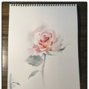 수분가득 수채화 이미지