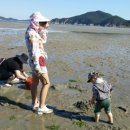 갯벌민박 이미지