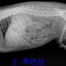 한수동물병원 이미지