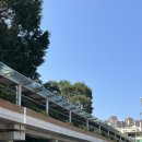 배틀공원 농구장 | [홍콩/HK] 23년 4박5일 홍콩/마카오 여행 DAY-3일차 일정 (홍콩디즈니,원딤섬,차돈브런치,호만틴PCR검사)