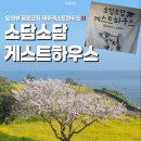 오션뷰제주게스트하우스 | 제주게스트하우스 ‘ 소담소담 게스트하우스 ’ 제주공항 근처 오션뷰 솔직후기