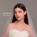 청초화 이미지