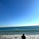 인천유치원 | [부산 여행] 7살 아이랑 부산 여행_1일 차 | 씨라이프 아쿠아리움, 요트투어, 해운대