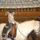 베르아델승마클럽 이미지