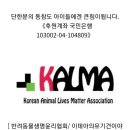 우아하개 이미지