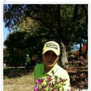 법무사박종한사무소