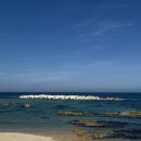 거일민박 이미지