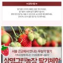 상명농장 이미지