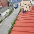 금촌농약사 네이버블로그