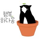 상해최기샤오롱 이미지