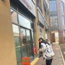 언더 더 러그 이미지