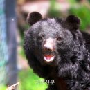종보농장 네이버블로그