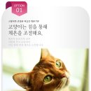 해운대동물메디컬센터 이미지