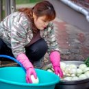 섬안경로당 이미지