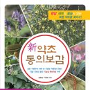 민간약초생활한방 이미지