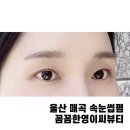 씨뷰 | 울산북구매곡속눈썹펌 꼼꼼한영이씨뷰티 후기