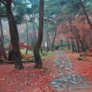 아름다운 생각 이미지