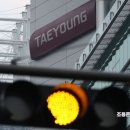 태영회계법인 이미지
