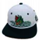 에스아이엘 이미지