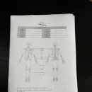 스포츠체형관리 - 부평구 경인로 957 | 스포츠체형관리