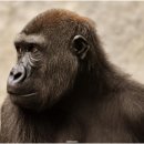 대화약국 이미지