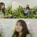 수지 이미지
