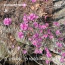 춘천평화노인마을 | 3번째 건강달리기 후기: 춘천의 아름다운 코스를 달리다! 🏃‍♂️🌸