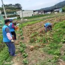 칠원농장 이미지