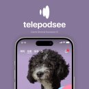 캐롯 카카오 검색결과