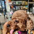 세온동물병원 이미지