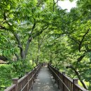 엄사면 엄사리 287 9 | [공지] 충청도 가을 단풍 명소 대전 장태산자연휴양림 증평 좌구산휴양림 옥천 화인산림욕장 등 등산...