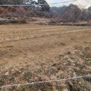 똘배농장 이미지