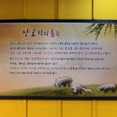 복이카센타 | [대전] 전민동 양꼬치 맛집, 회식 모임 핫플, 호래 양꼬치 메뉴, 식사 후기. (1 Star)