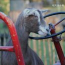 임팩트수학전문학원 이미지