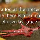 Bible Reading - Romans 11:1~12 이미지