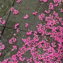 적당한 날 이미지