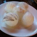 독도회센타 이미지