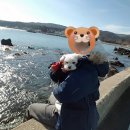 울산민박 이미지