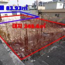 신안동13 이미지