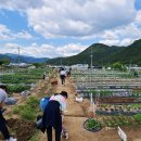 수천농장 이미지