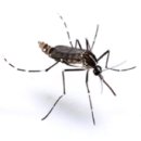 (주)지카 이미지