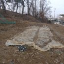 놀부농장 이미지