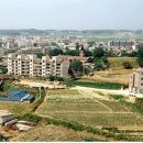 자라진천 이미지