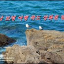 충남 보령 여행 죽도 상화원 탐방!
