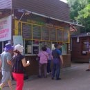비자림 | 제주도 비자림 관람 정보, 후기