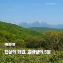 천상의 화원 곰배령 5월 방문, 눈 내린 설악산 보고 옴 - 소요시간, 야생화, 난이도, 예약 정보 등